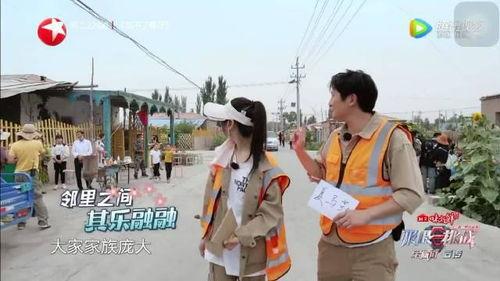 新疆最新新闻爆料视频大全,聚焦热点事件，揭秘幕后真相