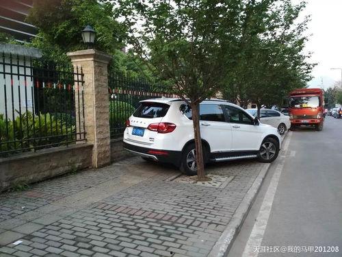 重庆停车爆料视频最新,爆料视频揭示停车难题与解决方案